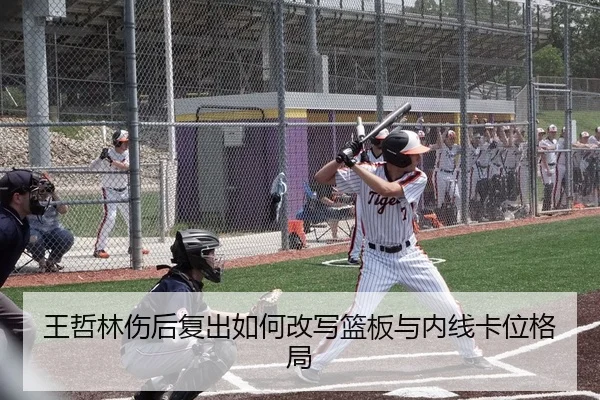 王哲林伤后复出如何改写篮板与内线卡位格局